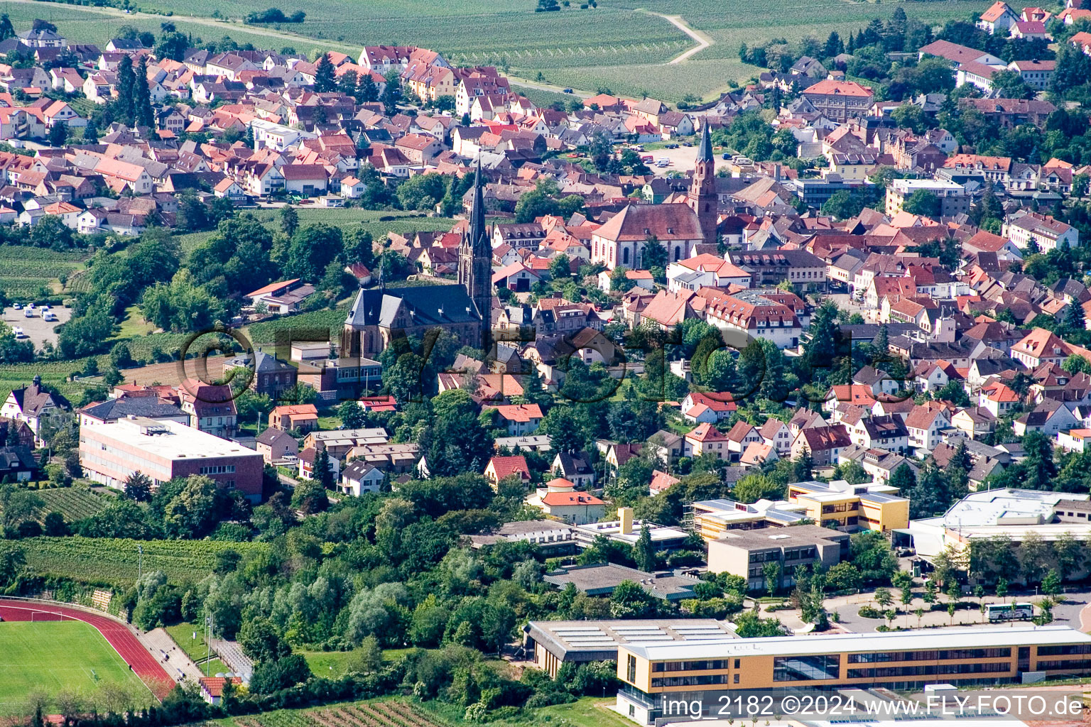 Edenkoben in the state Rhineland-Palatinate, Germany from the plane