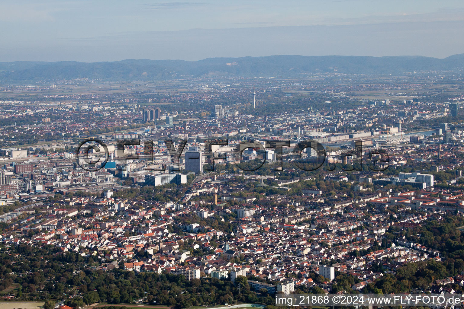 Aerial view of BASF South in the district Friesenheim in Ludwigshafen am Rhein in the state Rhineland-Palatinate, Germany