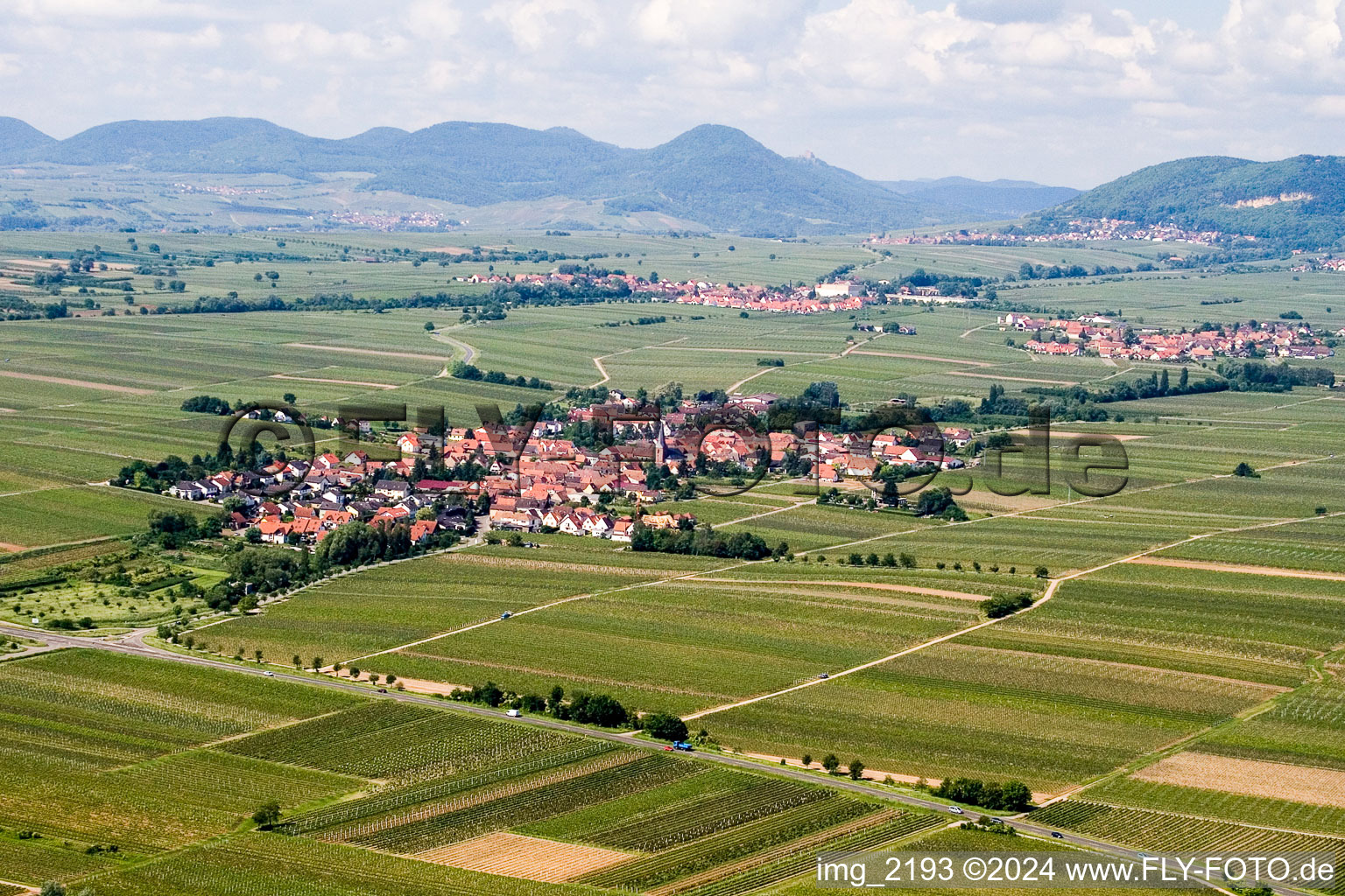 Village - view on the edge of wine yards in Roschbach in the state Rhineland-Palatinate, Germany fields and farml