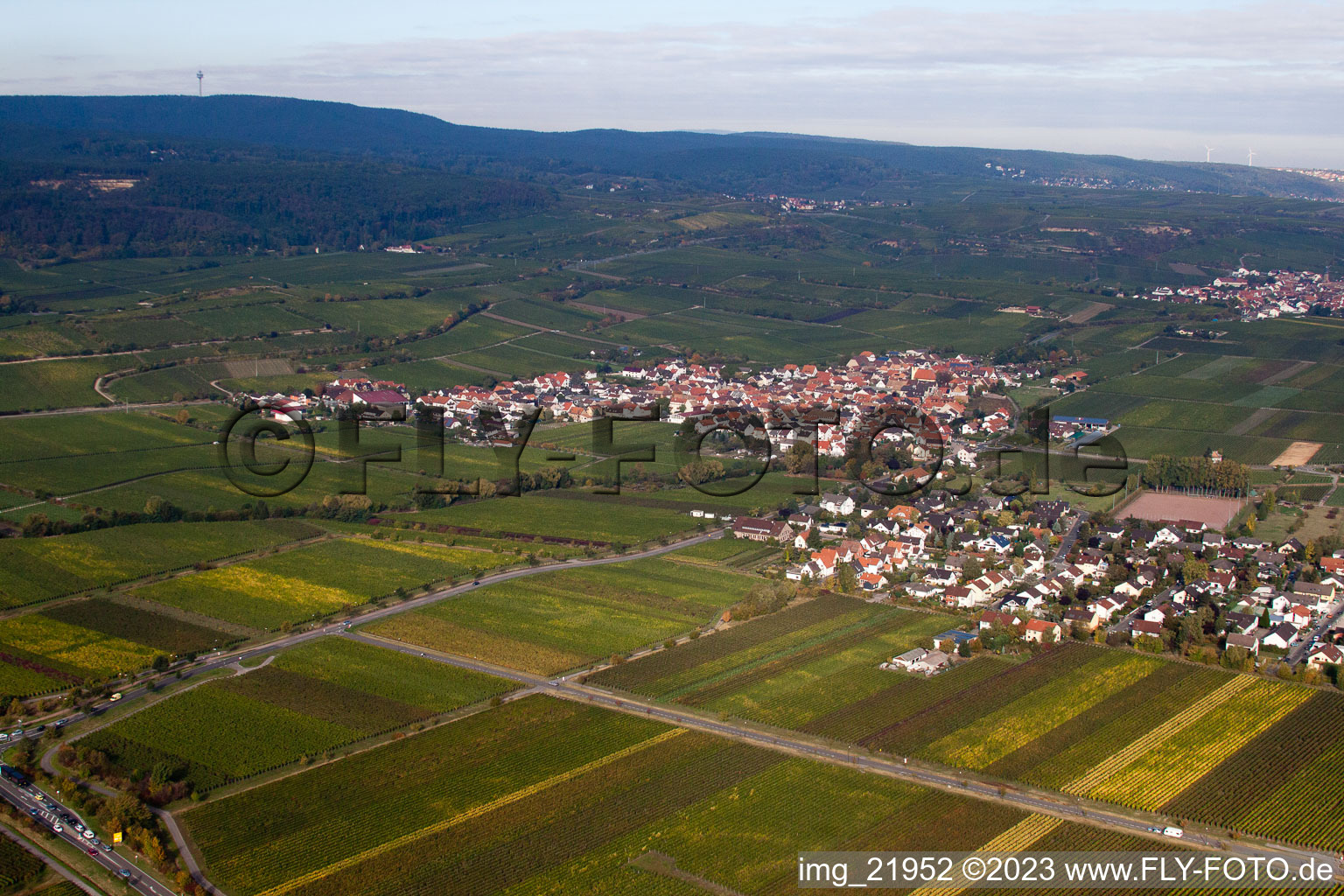 Aerial view of Kallstadt in the state Rhineland-Palatinate, Germany