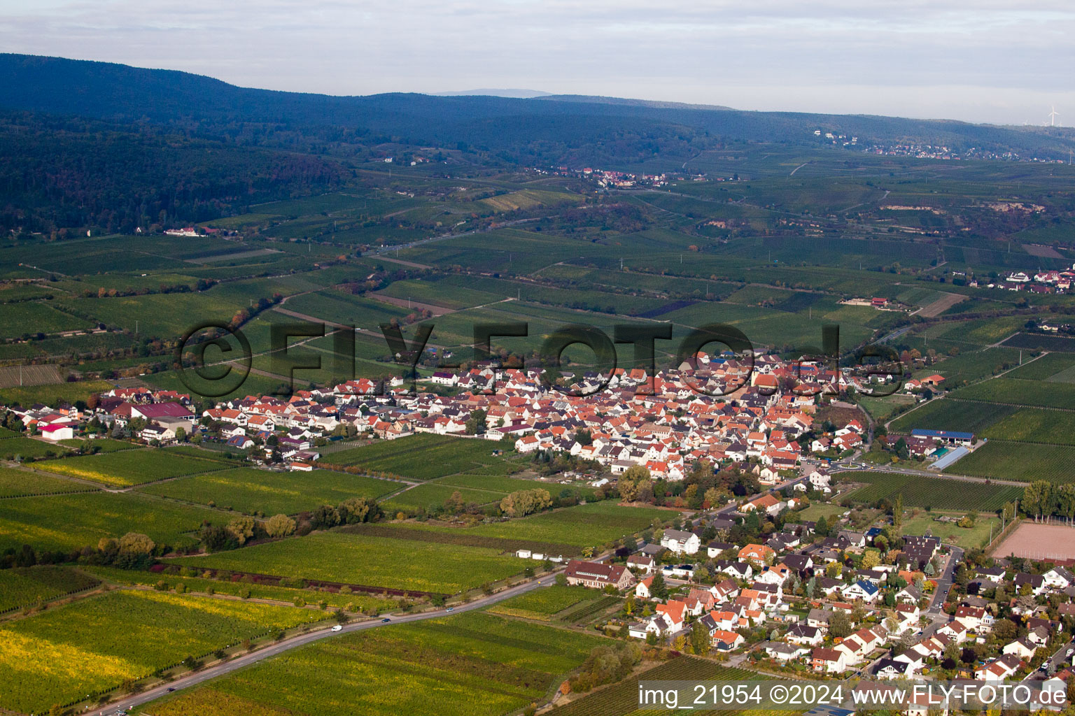 Village - view on the edge of wine yards in the district Ungstein in Bad Duerkheim in the state Rhineland-Palatinate