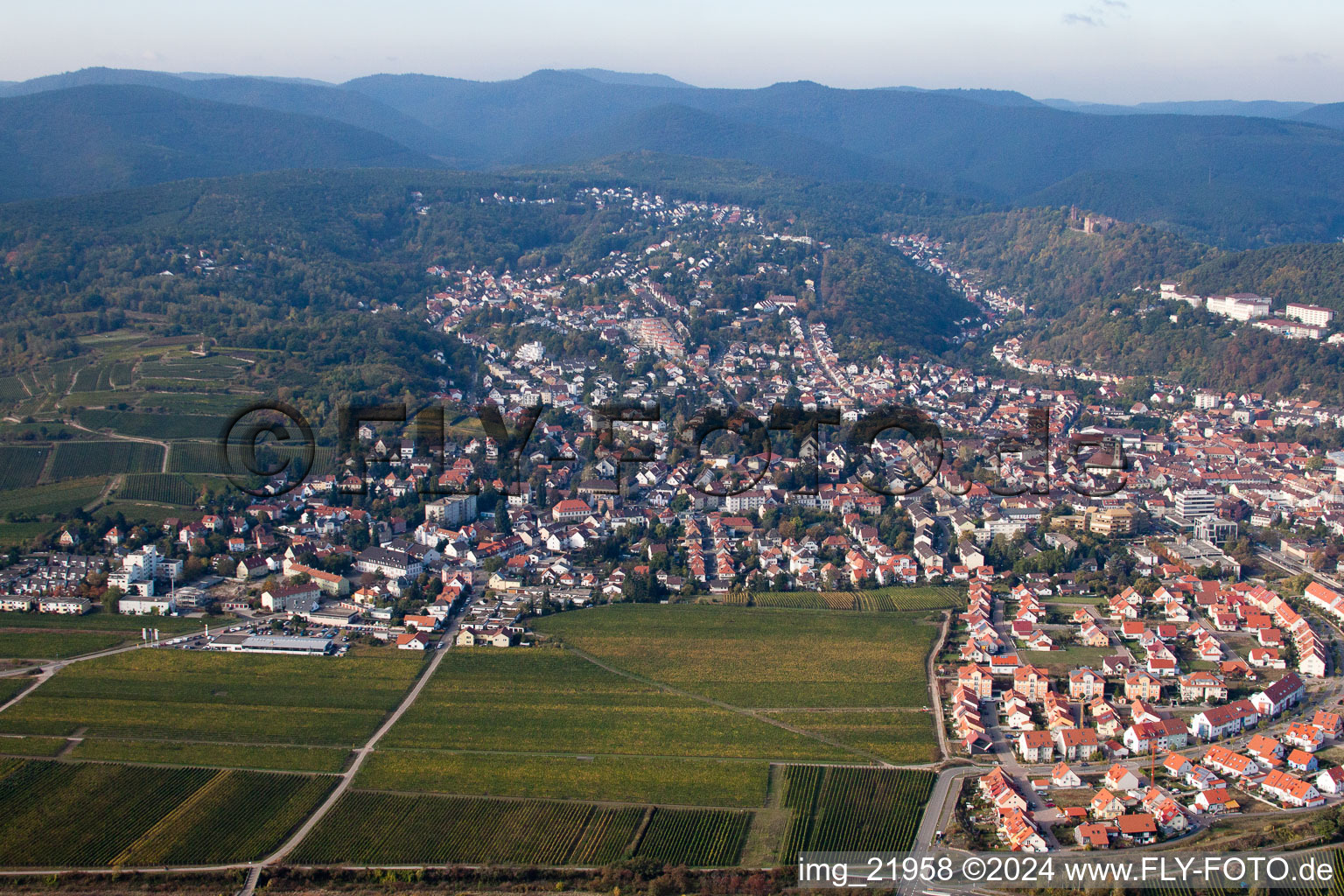 District Seebach in Bad Dürkheim in the state Rhineland-Palatinate, Germany