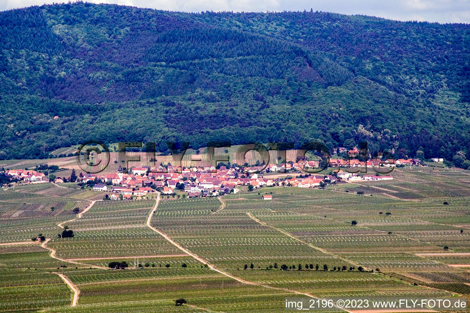Aerial view of Burrweiler in the state Rhineland-Palatinate, Germany