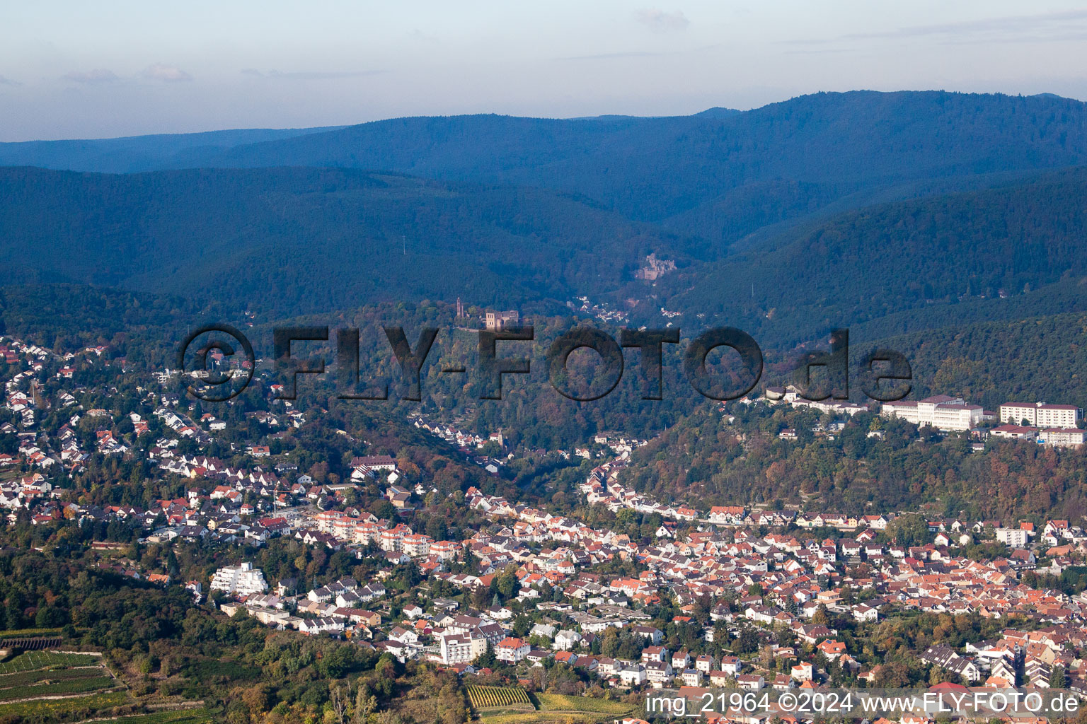 Oblique view of District Wachenheim in Wachenheim an der Weinstraße in the state Rhineland-Palatinate, Germany