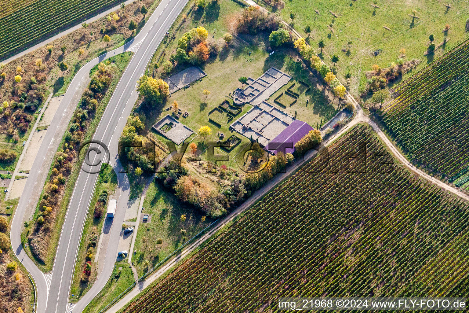 Aerial view of Tourist attraction and sightseeing Villa Rustica Wachenheim in Wachenheim an der Weinstrasse in the state Rhineland-Palatinate, Germany