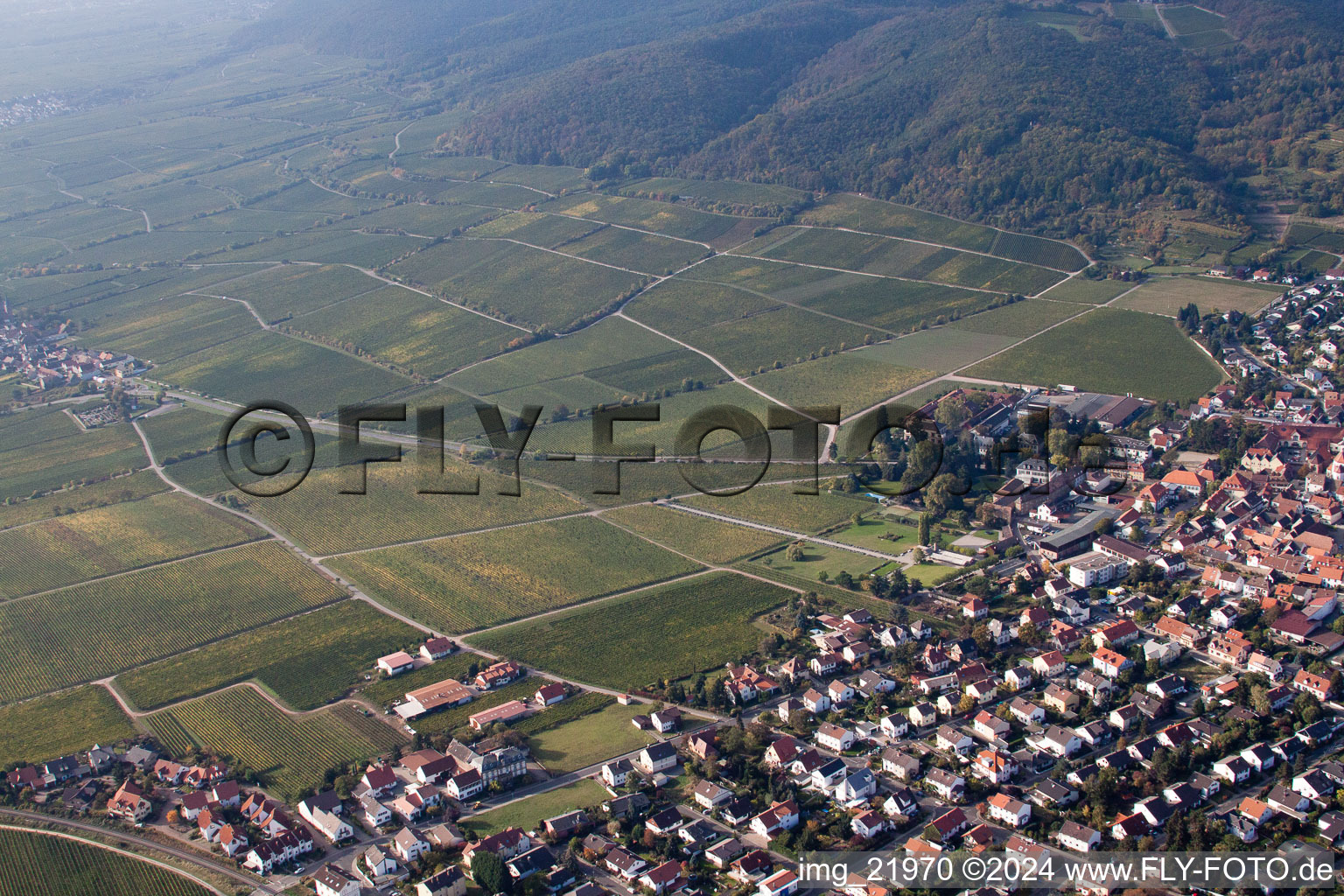 Wachenheim an der Weinstraße in the state Rhineland-Palatinate, Germany from above