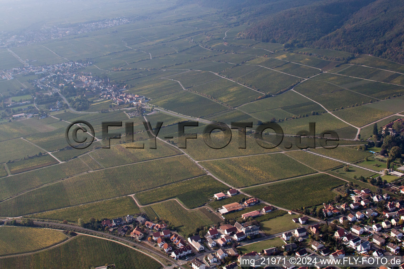 Wachenheim an der Weinstraße in the state Rhineland-Palatinate, Germany out of the air