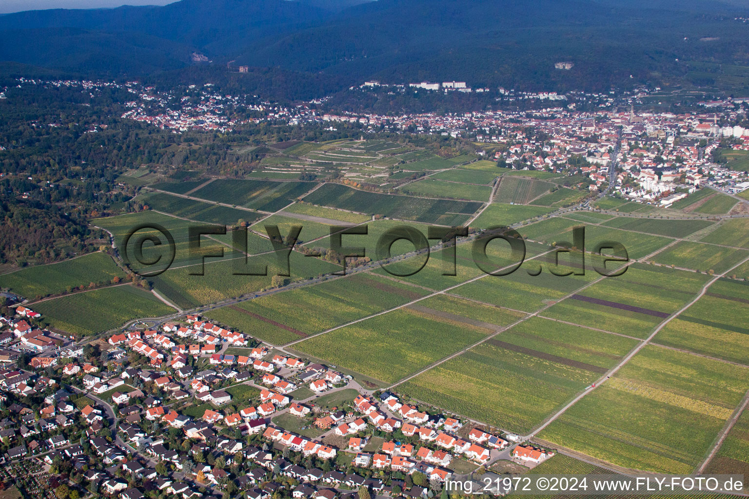 Wachenheim an der Weinstraße in the state Rhineland-Palatinate, Germany seen from above