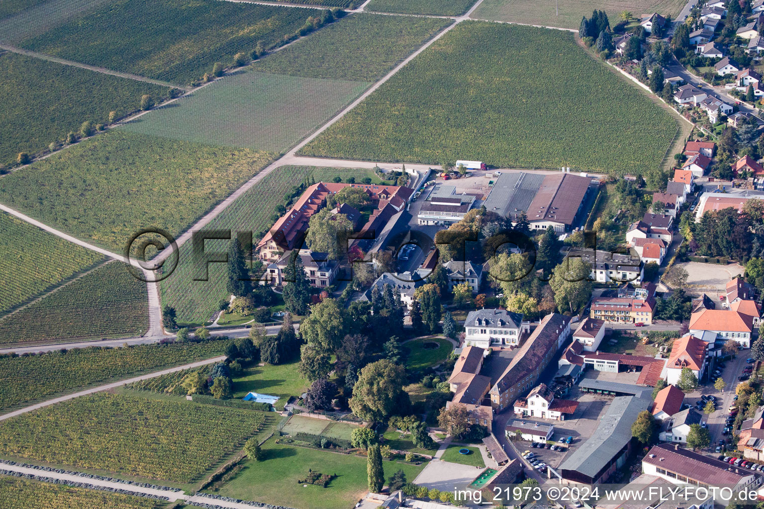 Wachenheim an der Weinstraße in the state Rhineland-Palatinate, Germany from the plane