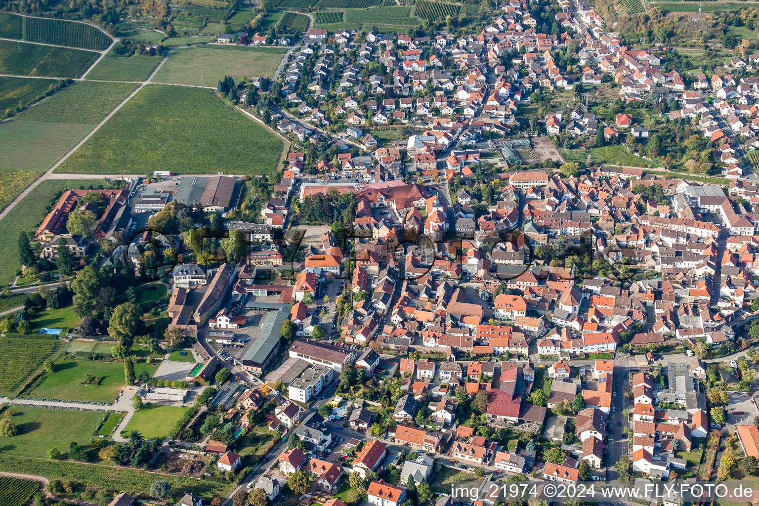 Town View of the streets and houses of the residential areas in Wachenheim an der Weinstrasse in the state Rhineland-Palatinate, Germany