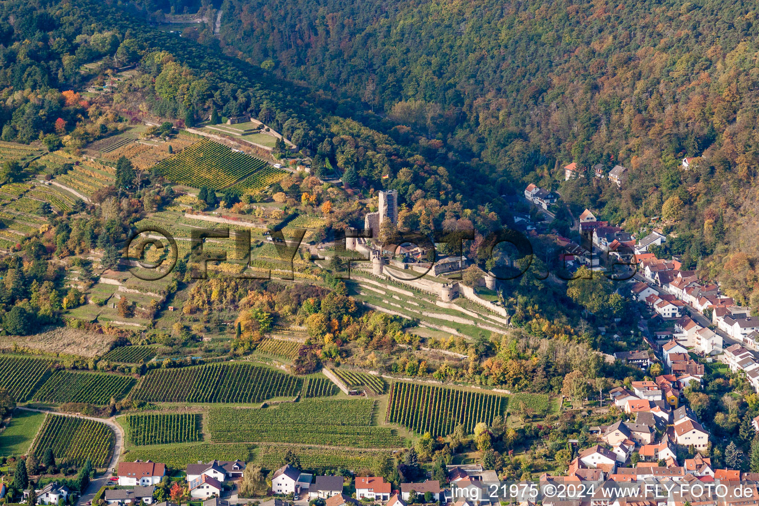 Ruins and vestiges of the former castle and fortress Wachtenburg (Ruin "Burg Wachenheim") in Wachenheim an der Weinstrasse in the state Rhineland-Palatinate, Germany