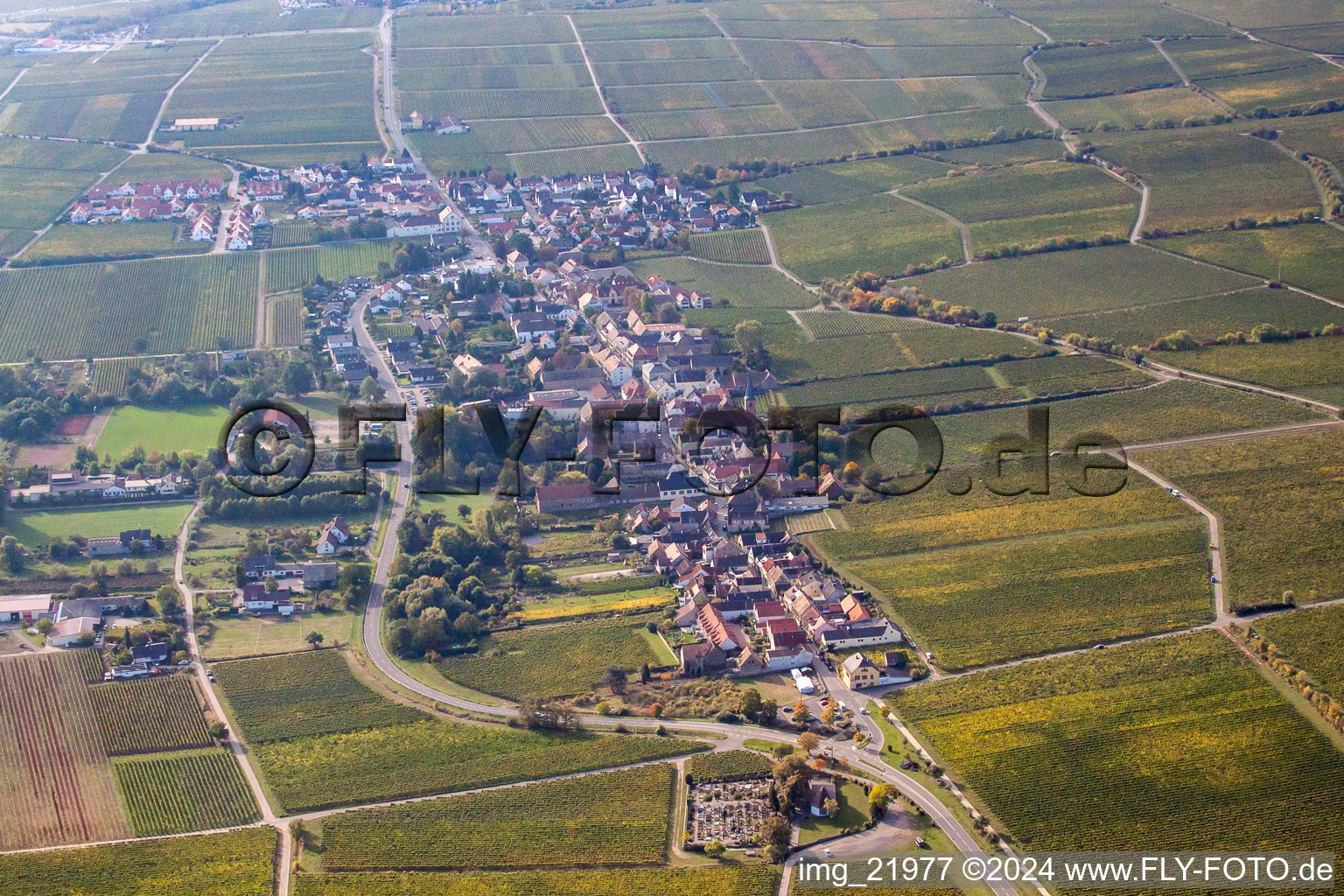 Forst an der Weinstraße in the state Rhineland-Palatinate, Germany from the drone perspective