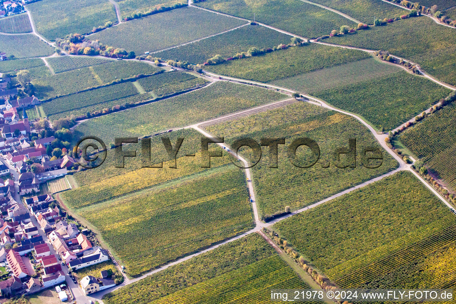 Oblique view of Forst an der Weinstraße in the state Rhineland-Palatinate, Germany