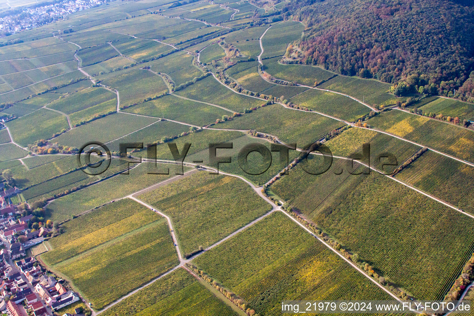 Forst an der Weinstraße in the state Rhineland-Palatinate, Germany seen from a drone