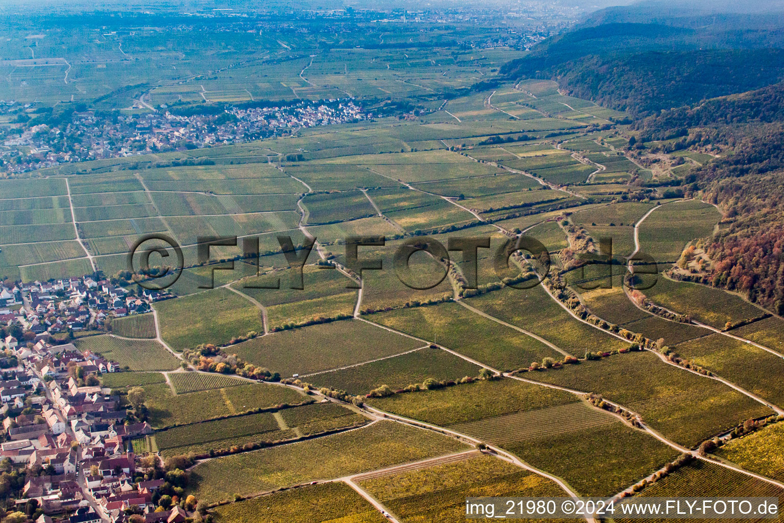 Aerial view of Forst an der Weinstraße in the state Rhineland-Palatinate, Germany