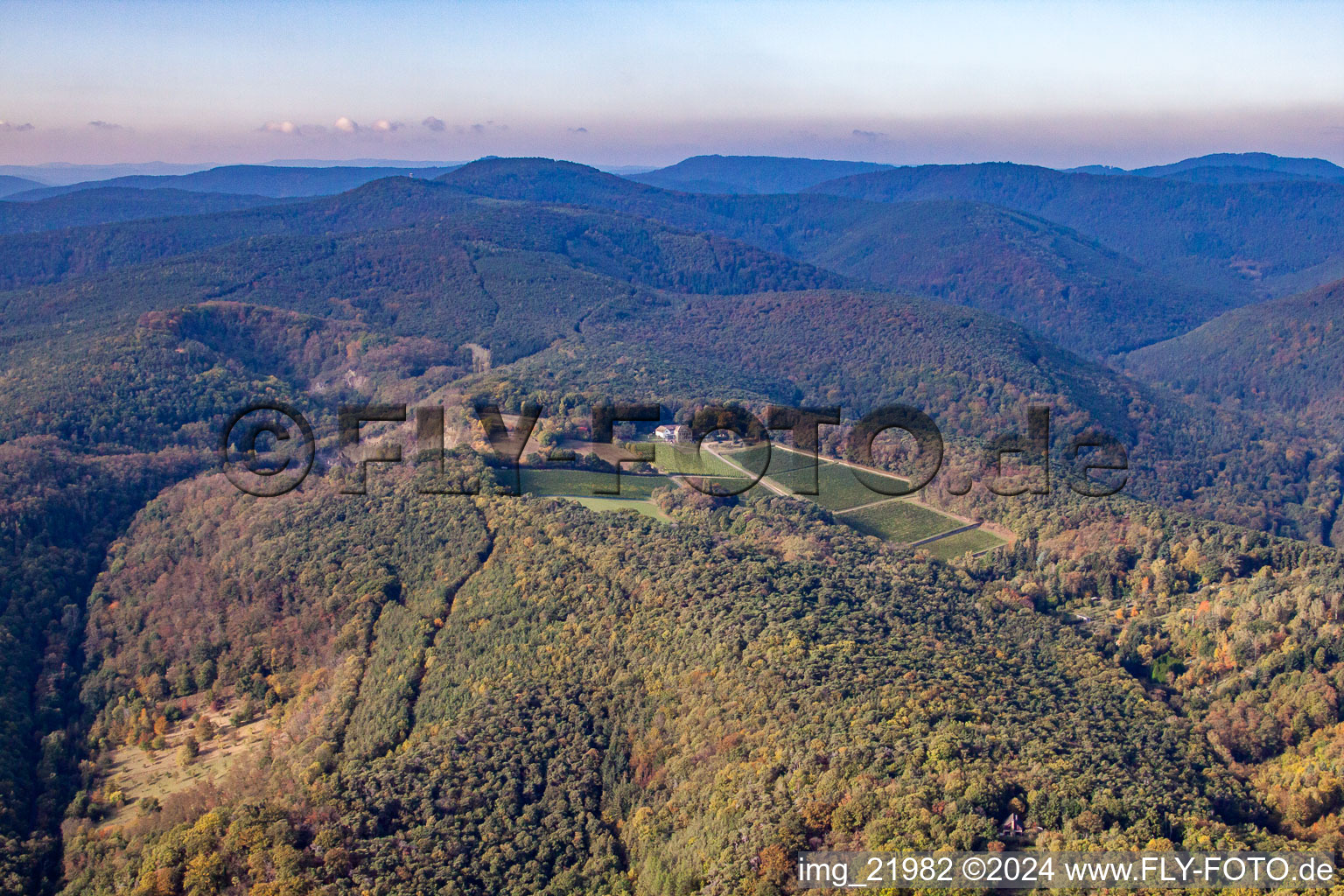 Odinstal, the highest winery in the Palatinate in the district Wachenheim in Wachenheim an der Weinstraße in the state Rhineland-Palatinate, Germany