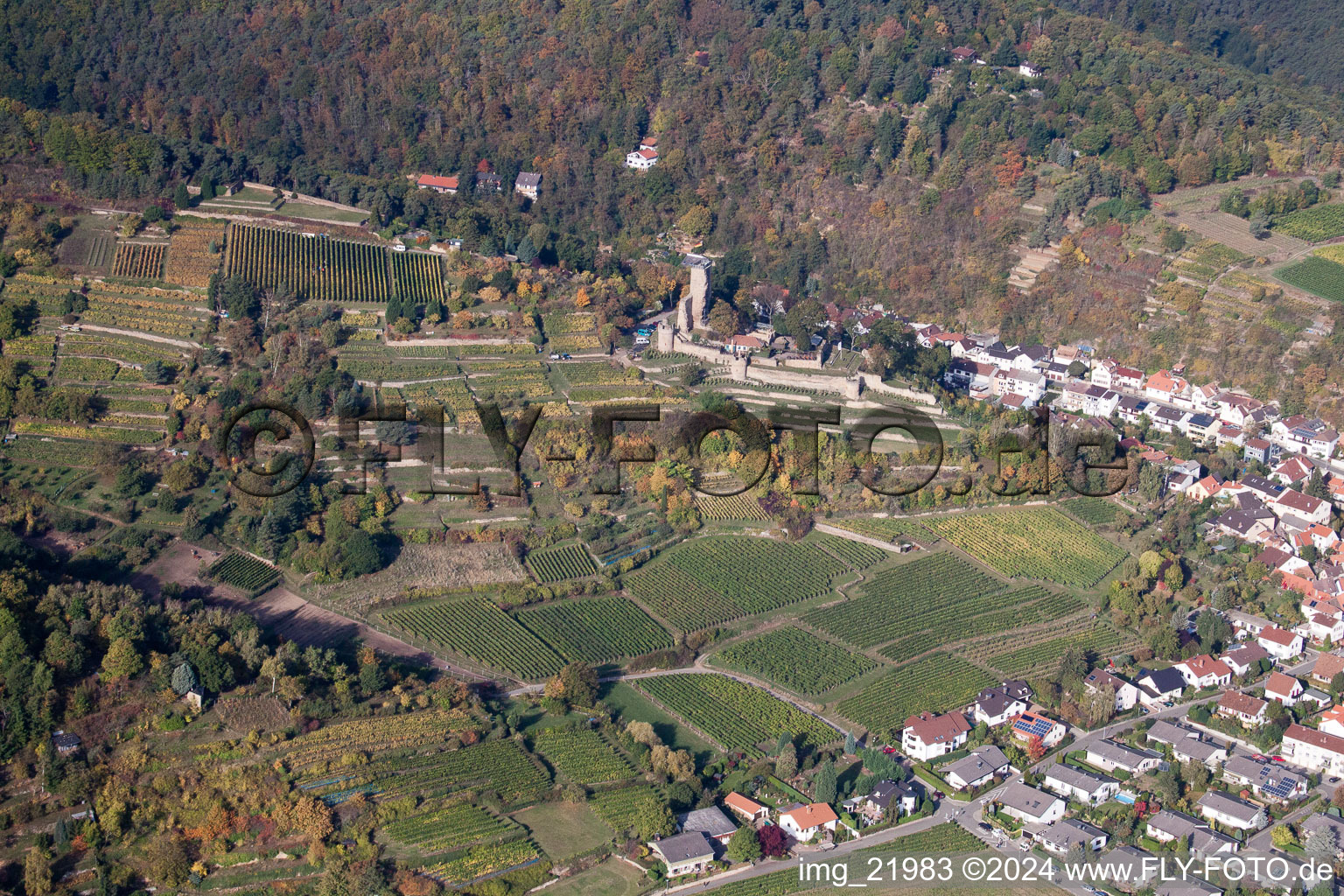 Wachenheim, Wachenheim Castle in Wachenheim an der Weinstraße in the state Rhineland-Palatinate, Germany