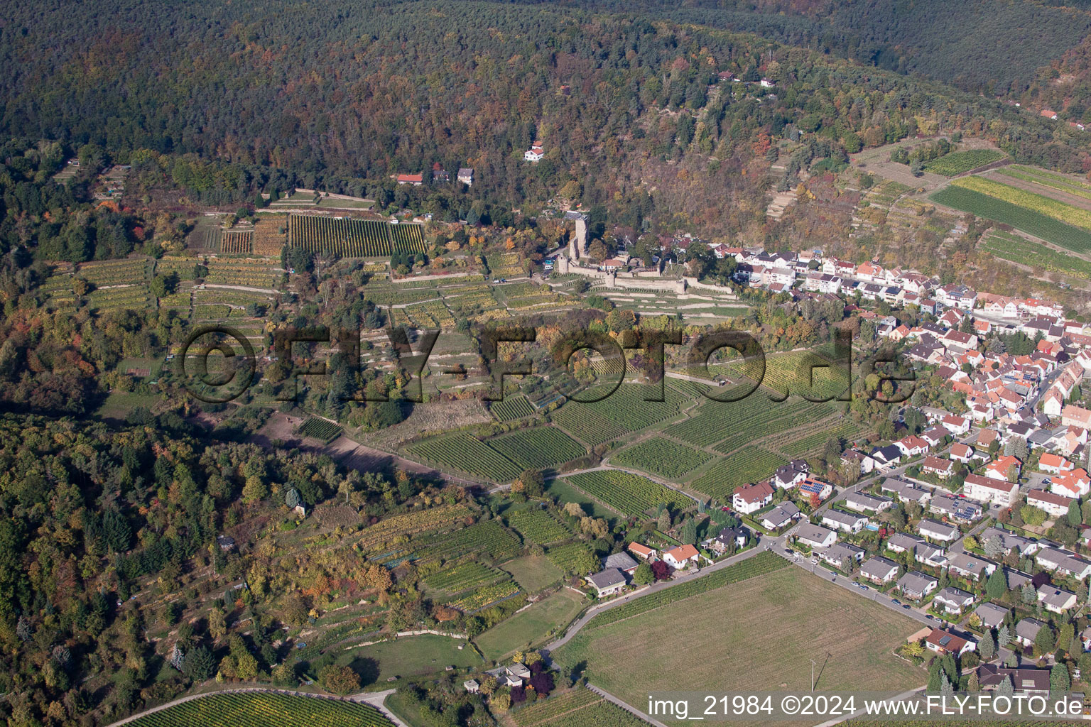 Aerial view of Wachenheim, Wachenheim Castle in Wachenheim an der Weinstraße in the state Rhineland-Palatinate, Germany