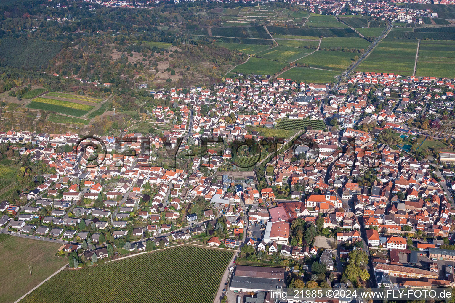 Aerial view of Town View of the streets and houses of the residential areas in Wachenheim an der Weinstrasse in the state Rhineland-Palatinate, Germany