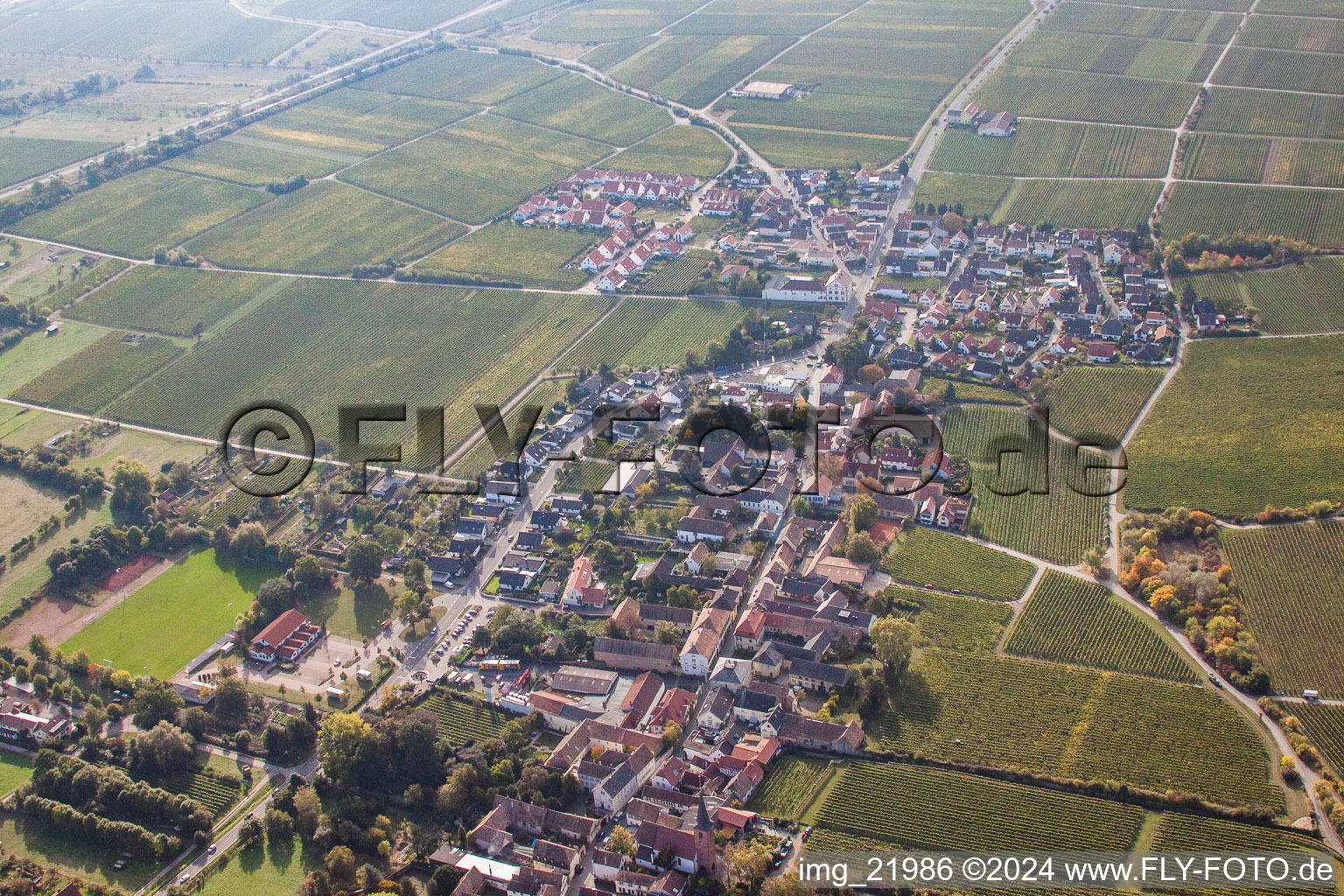 Aerial view of Village - view on the edge of wine yards in Forst an der Weinstrasse in the state Rhineland-Palatinate