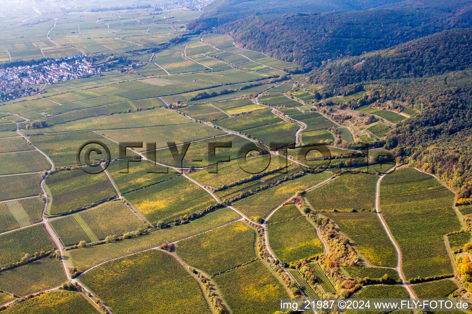 Aerial photograpy of Forst an der Weinstraße in the state Rhineland-Palatinate, Germany