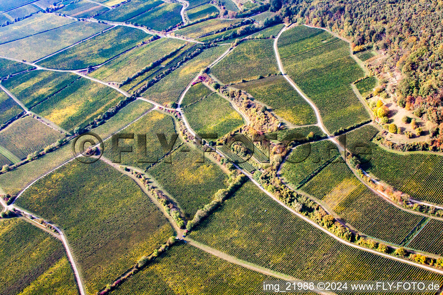 Forst an der Weinstraße in the state Rhineland-Palatinate, Germany from the plane