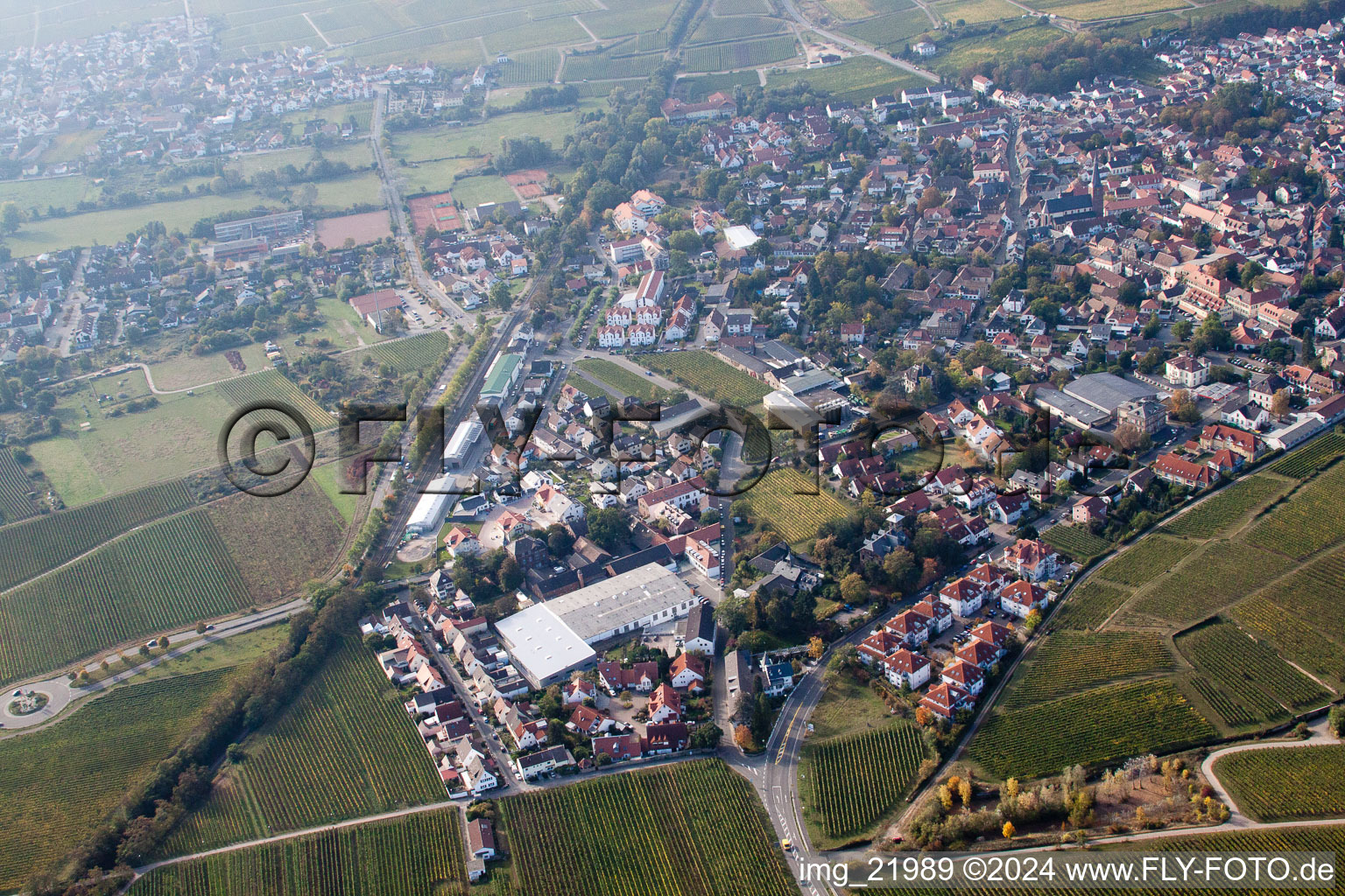 Deidesheim in the state Rhineland-Palatinate, Germany from the drone perspective