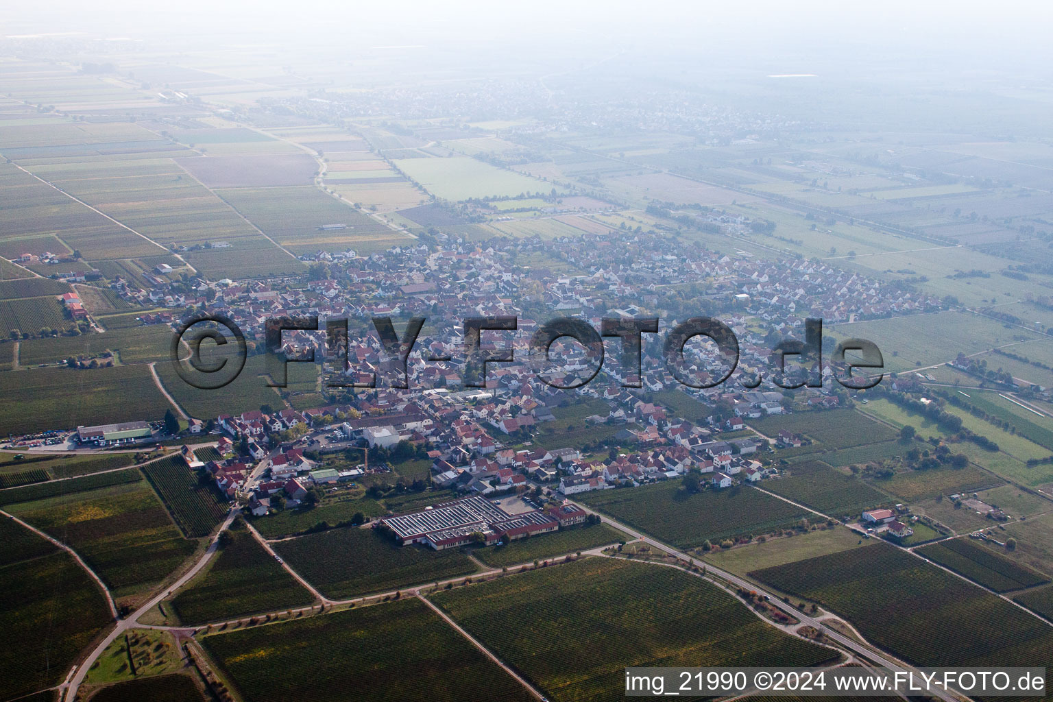 Bird's eye view of Wachenheim an der Weinstraße in the state Rhineland-Palatinate, Germany