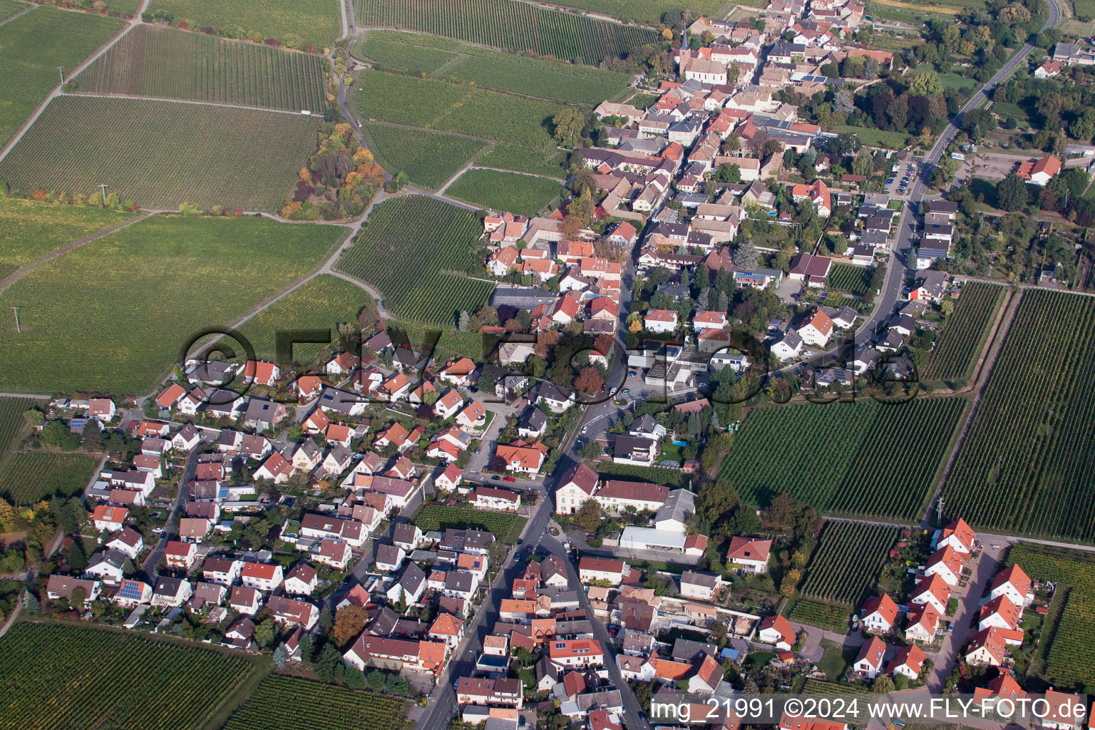 Deidesheim in the state Rhineland-Palatinate, Germany from a drone