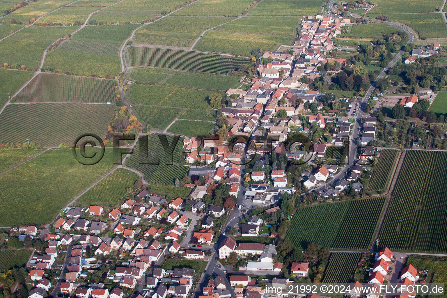 Deidesheim in the state Rhineland-Palatinate, Germany seen from a drone