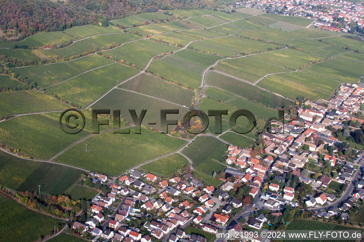 Aerial view of Deidesheim in the state Rhineland-Palatinate, Germany