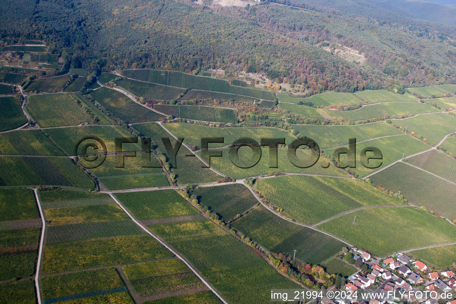 Aerial photograpy of Deidesheim in the state Rhineland-Palatinate, Germany