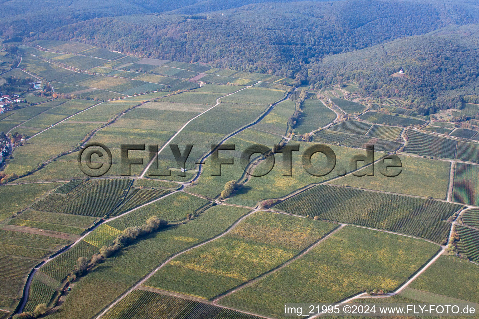 Oblique view of Deidesheim in the state Rhineland-Palatinate, Germany