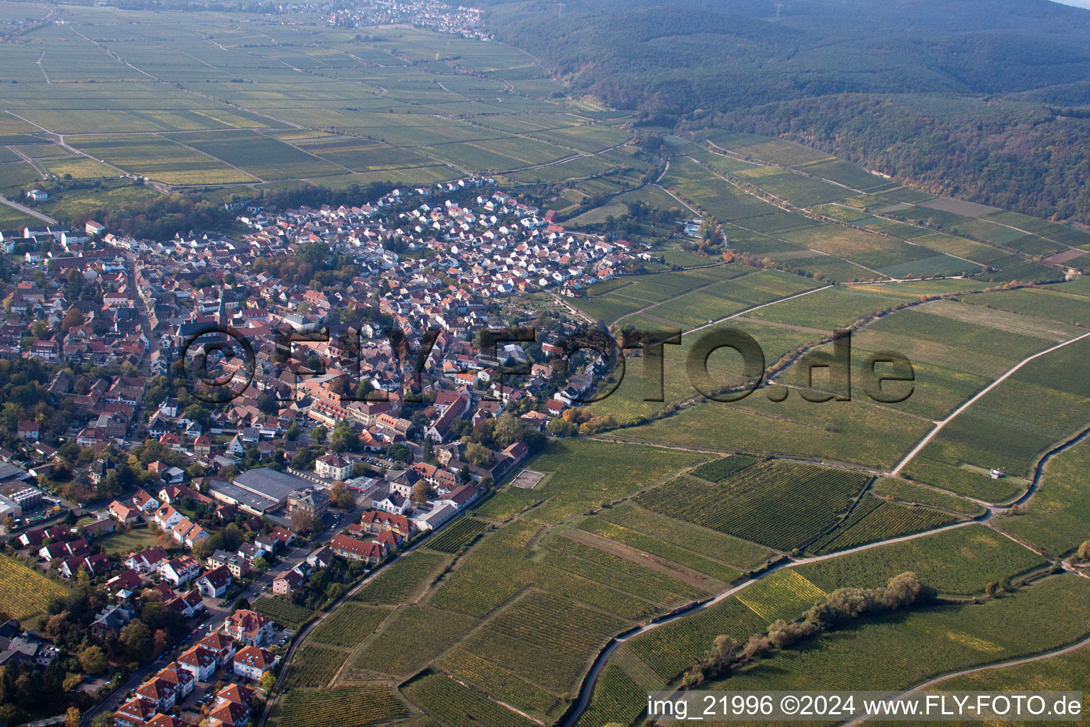 Deidesheim in the state Rhineland-Palatinate, Germany from above