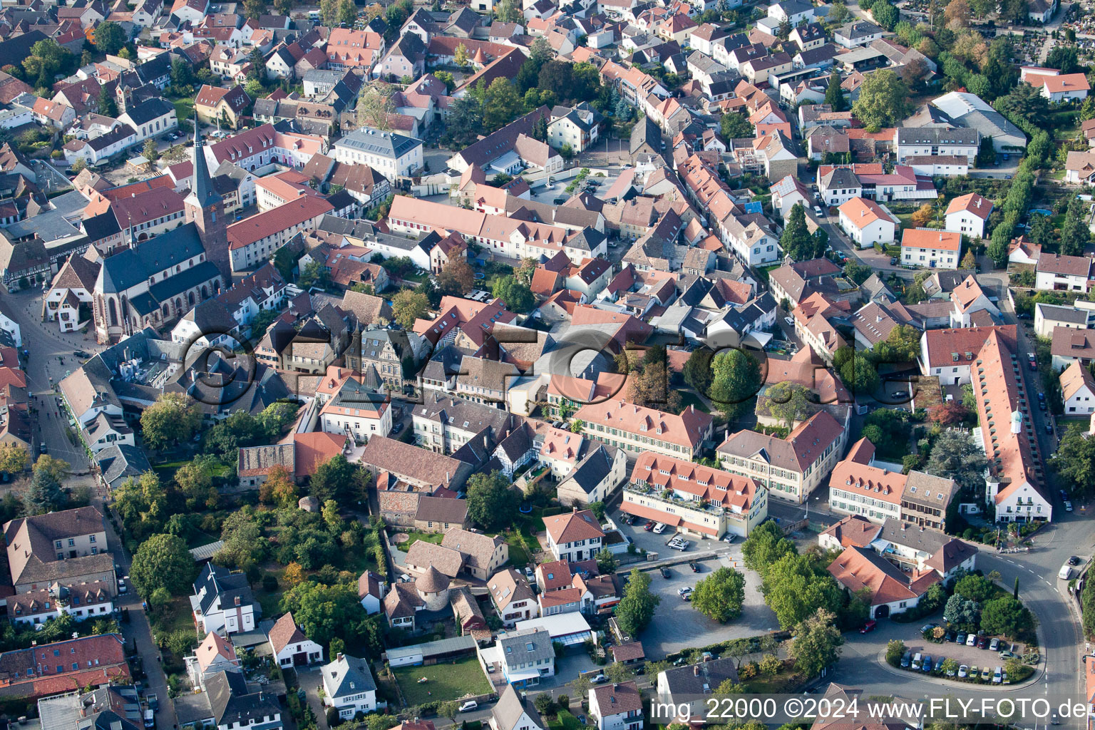 Deidesheim in the state Rhineland-Palatinate, Germany from the plane