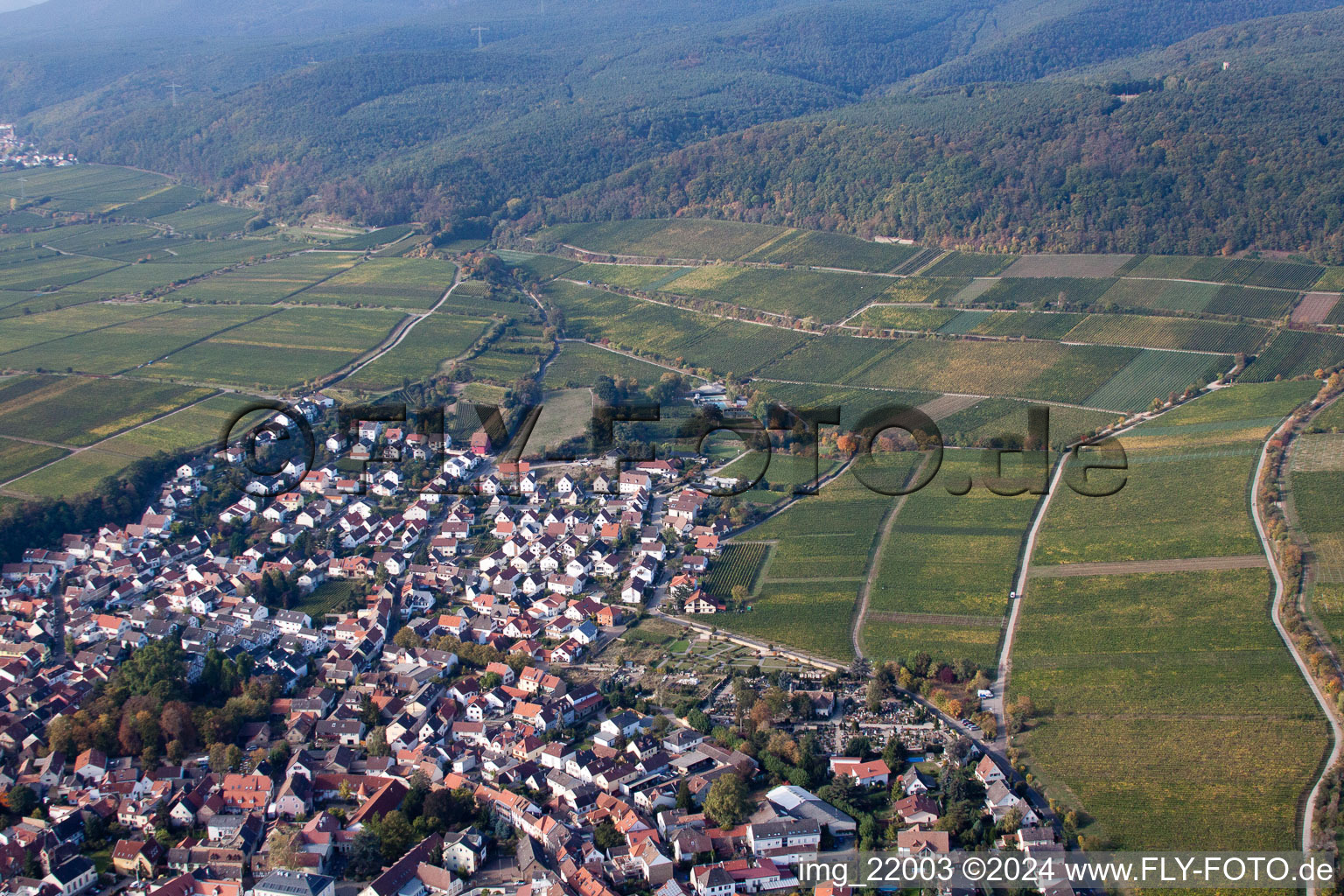 Bird's eye view of Deidesheim in the state Rhineland-Palatinate, Germany