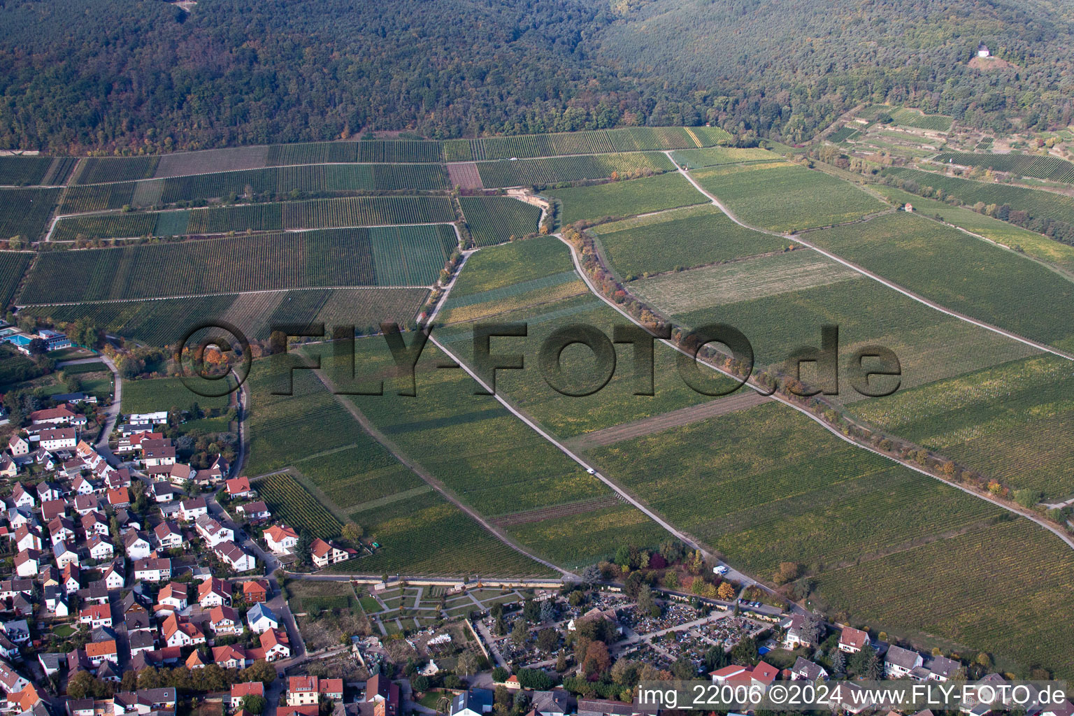 Drone recording of Deidesheim in the state Rhineland-Palatinate, Germany