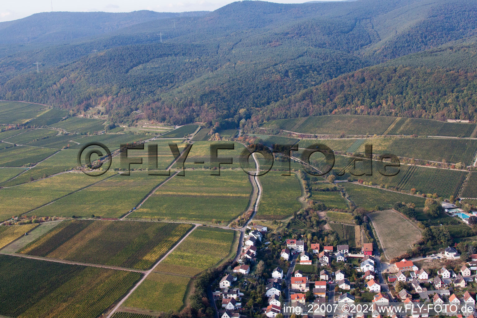 Drone image of Deidesheim in the state Rhineland-Palatinate, Germany