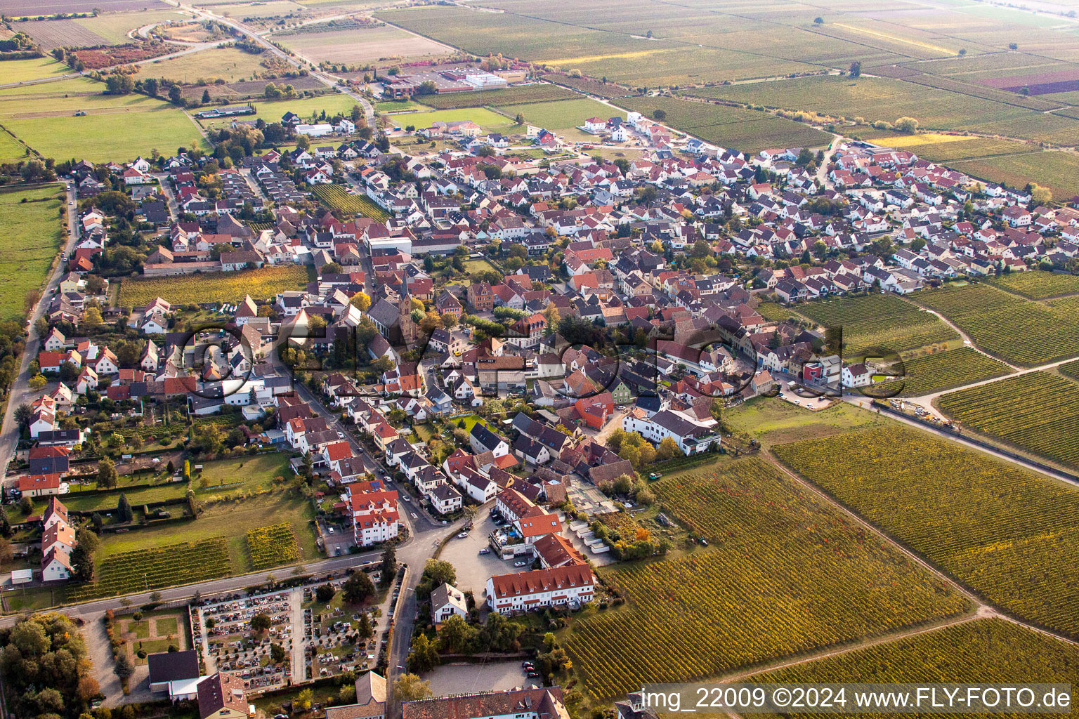 Village - view on the edge of wine yards in the district Koenigsbach in Ruppertsberg in the state Rhineland-Palatinate