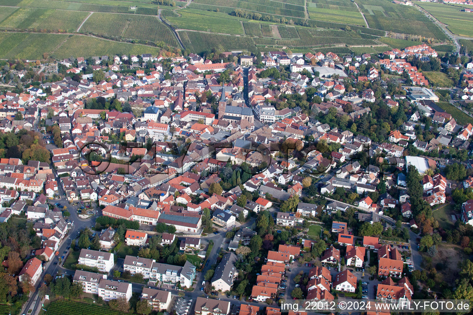 Deidesheim in the state Rhineland-Palatinate, Germany from a drone