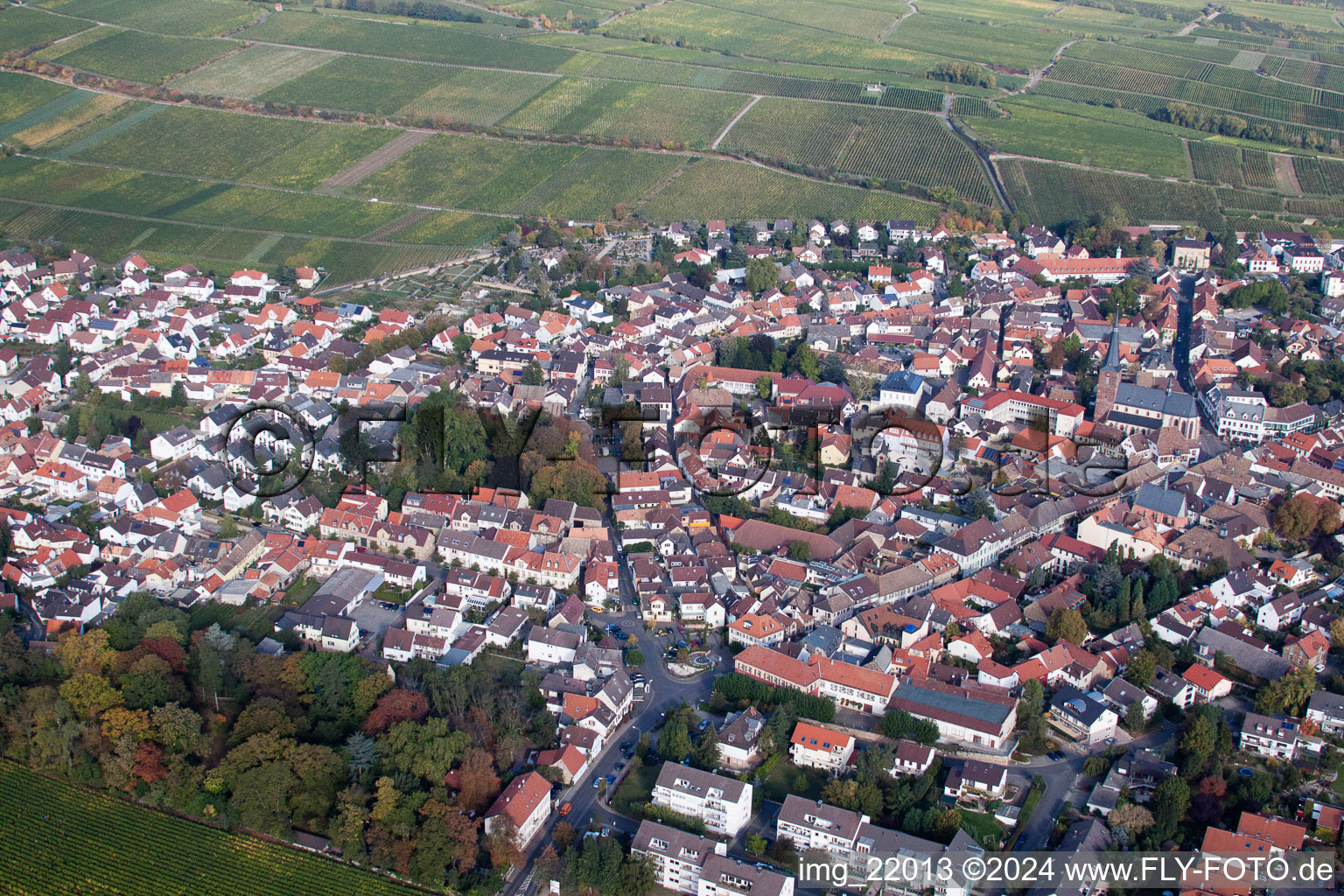 Deidesheim in the state Rhineland-Palatinate, Germany seen from a drone