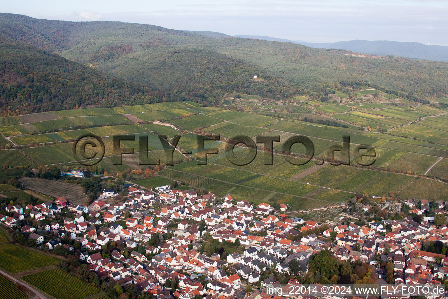 Aerial view of Deidesheim in the state Rhineland-Palatinate, Germany