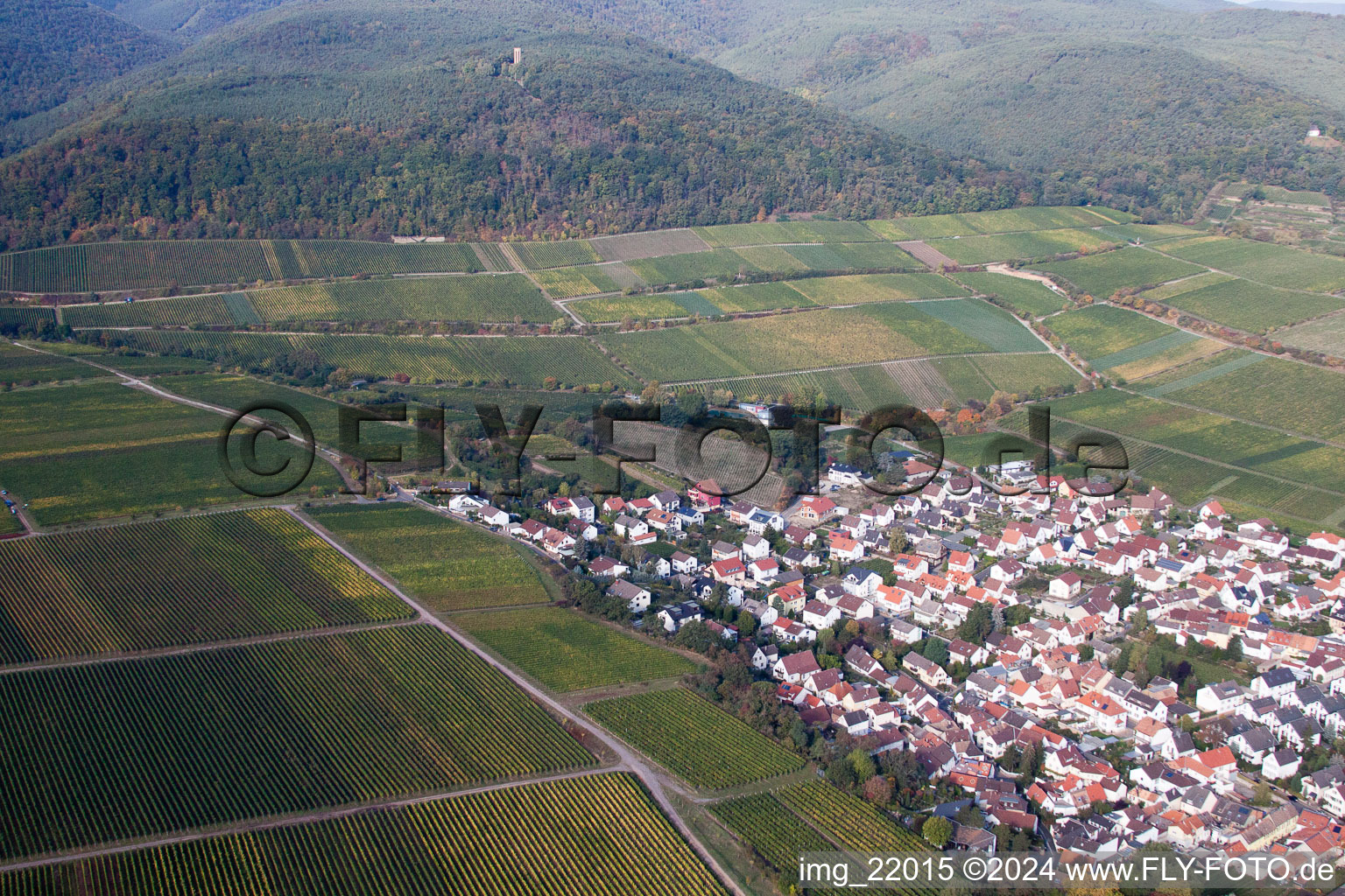 Aerial photograpy of Deidesheim in the state Rhineland-Palatinate, Germany