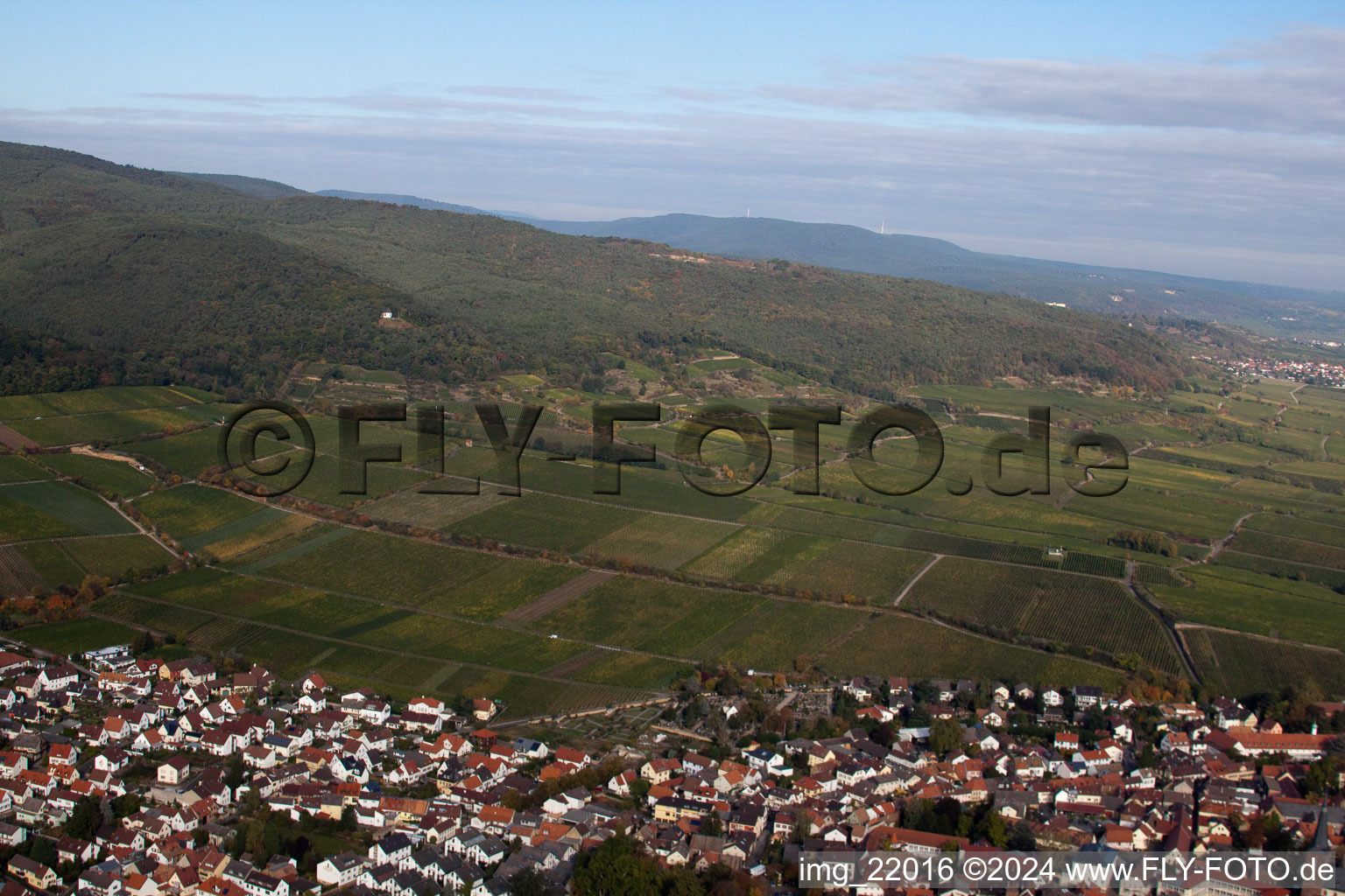 Oblique view of Deidesheim in the state Rhineland-Palatinate, Germany