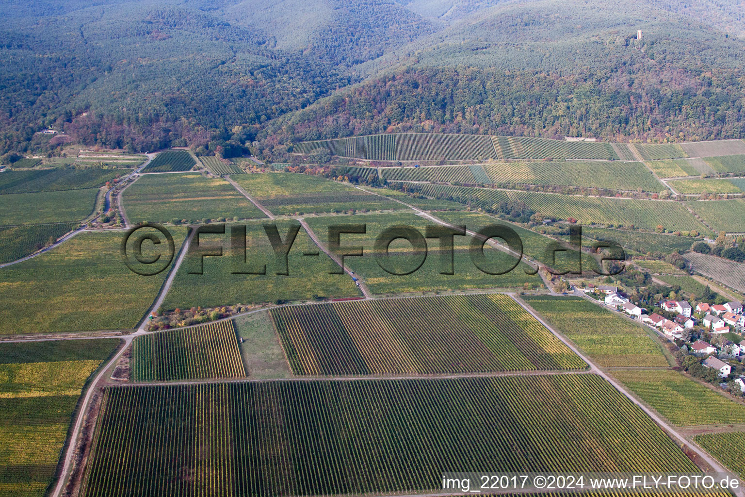 Deidesheim in the state Rhineland-Palatinate, Germany from above