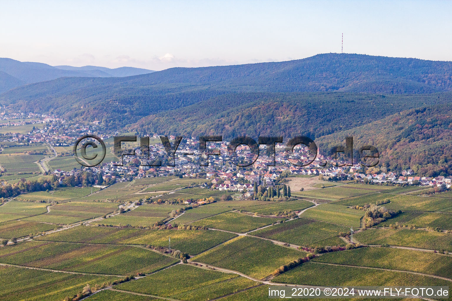 District Königsbach in Neustadt an der Weinstraße in the state Rhineland-Palatinate, Germany out of the air