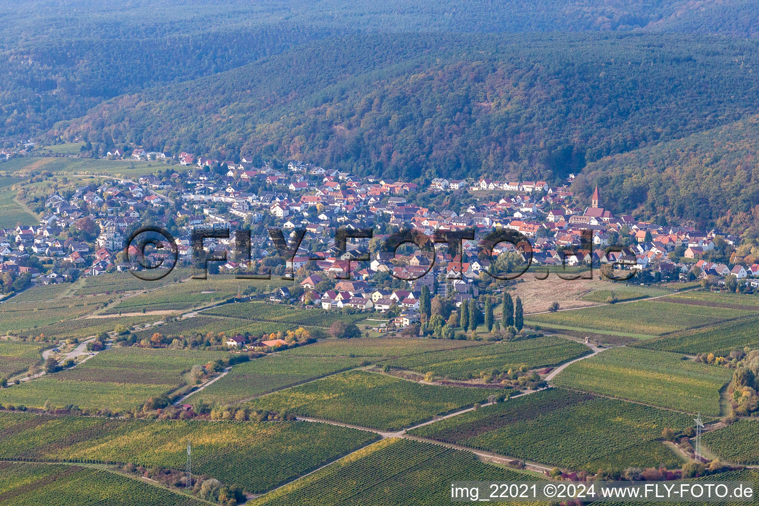 District Königsbach in Neustadt an der Weinstraße in the state Rhineland-Palatinate, Germany seen from above