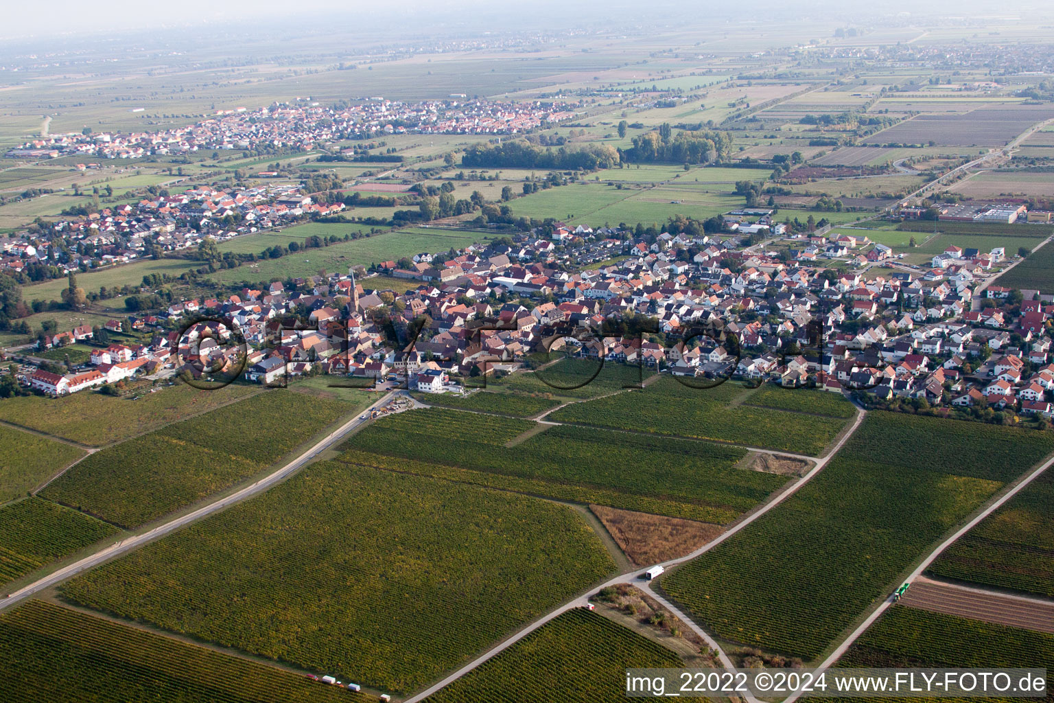 Ruppertsberg in the state Rhineland-Palatinate, Germany from a drone