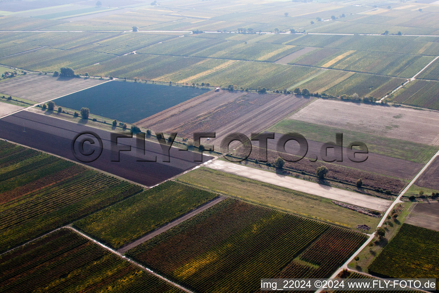 Aerial view of Ruppertsberg in the state Rhineland-Palatinate, Germany