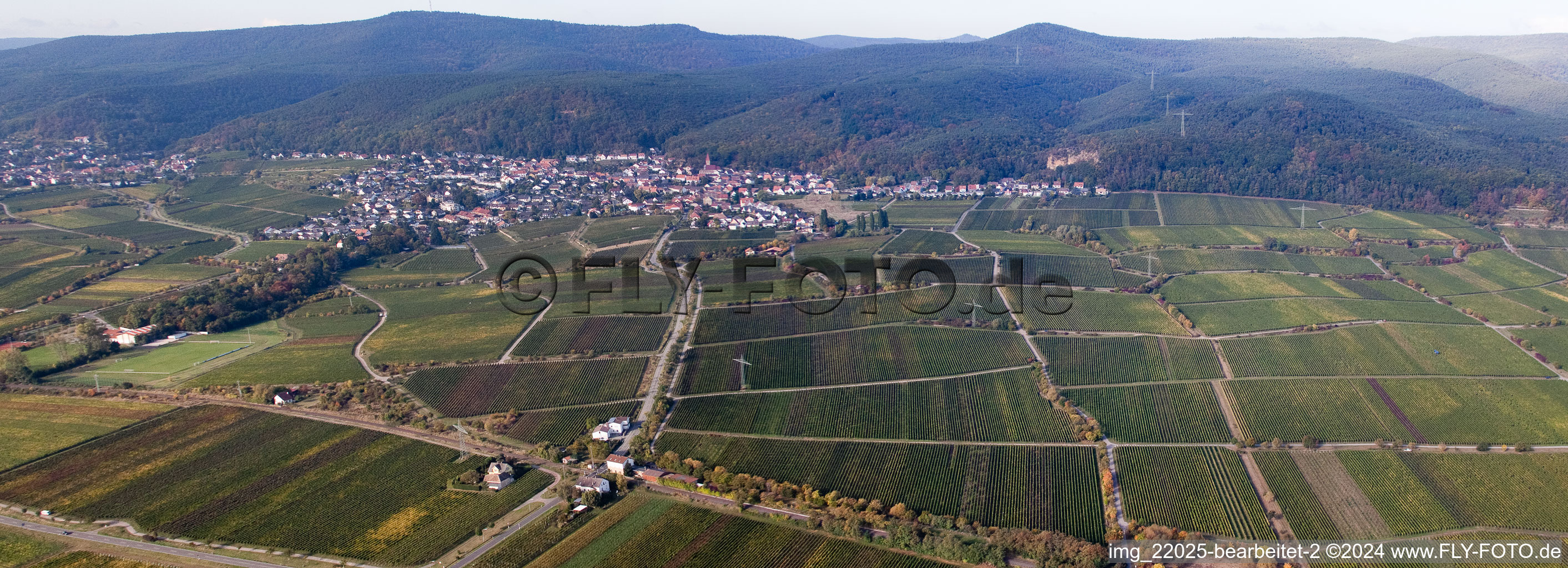 District Königsbach in Neustadt an der Weinstraße in the state Rhineland-Palatinate, Germany from the plane